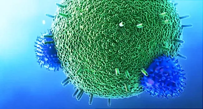 How PMBL Therapy Kills Cancer Cells