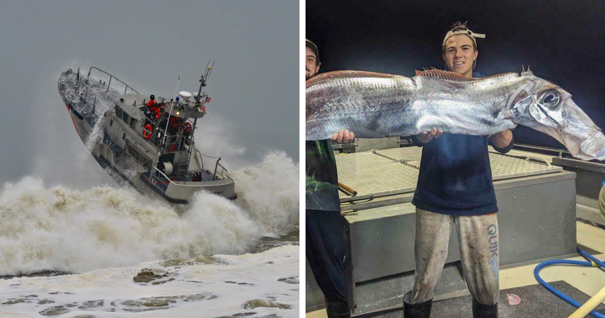 50 Truly Terrifying Photos Taken By People At Work That May Make Your Palms Sweaty