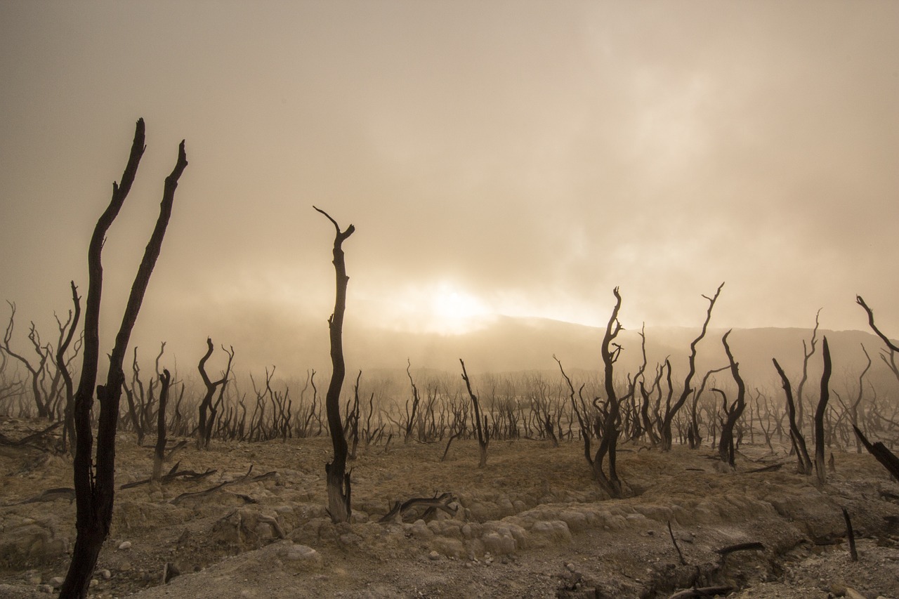 Why Negotiating A Severance Is Possible: Reputational Destruction