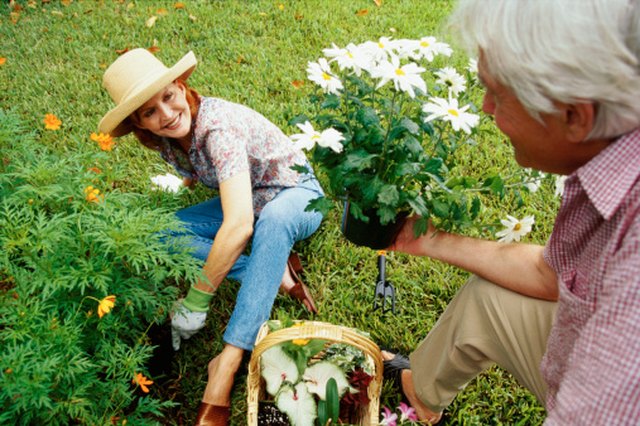 Grass Killer That Won’t Harm Plants