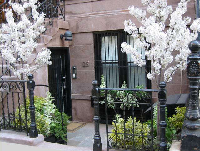 A Blooming Brownstone in Manhattan