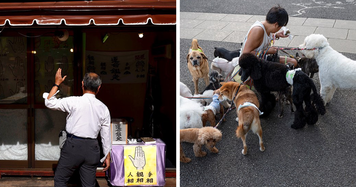 Street Scenes That Prove Beauty Is All Around Us, Captured By Jesse Marlow (30 Pics)