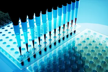 Metastatic Triple-Negative Breast Cancer: The Urgent Need for Research