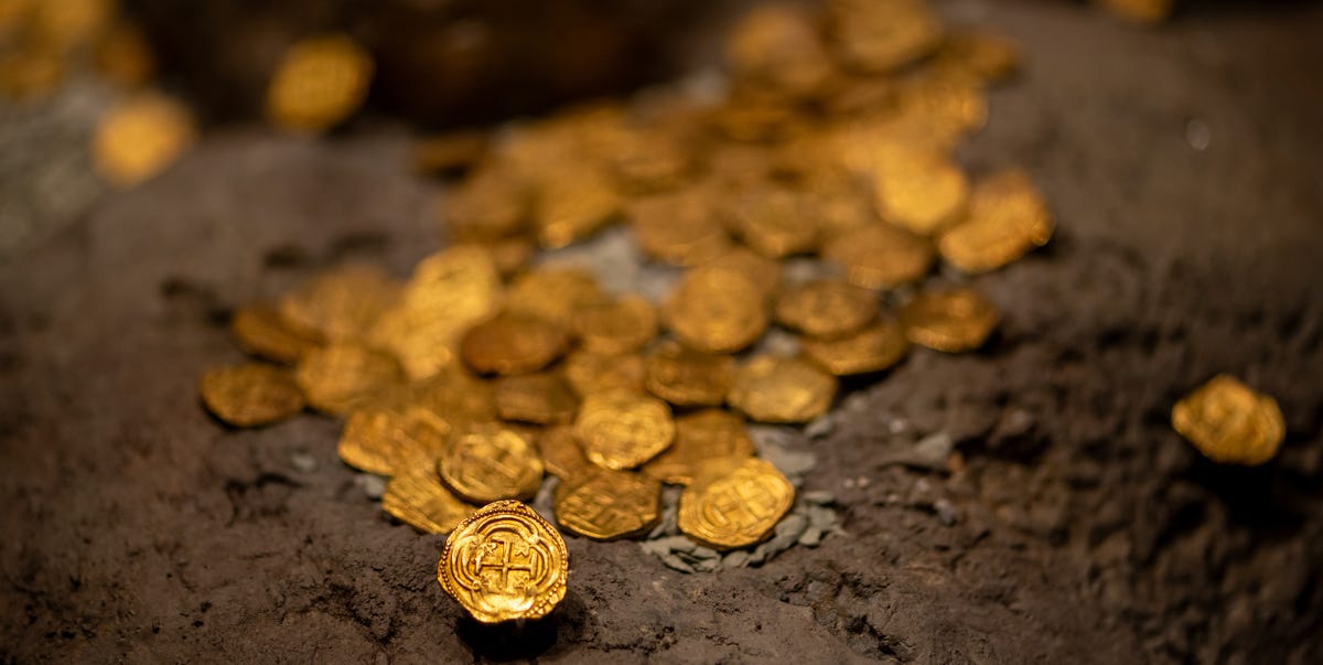 A Man Was Digging in His Backyardand Found Treasure Worth $800K